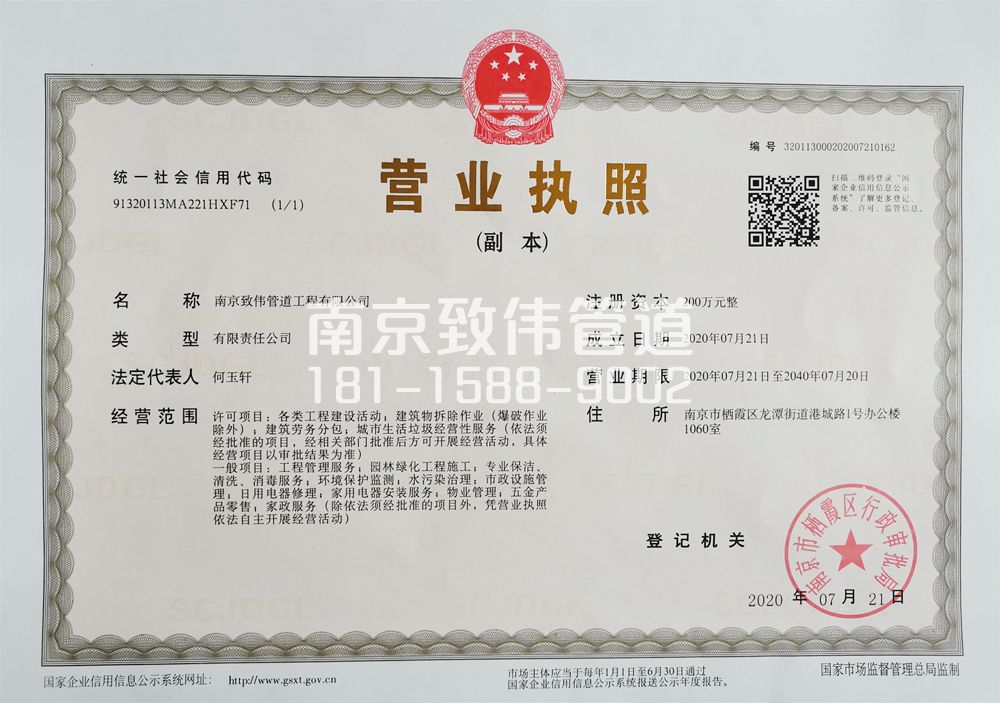 企业公司营业执照